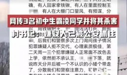 邯郸事件大爆料最新消息,揭秘背后惊人真相
