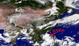 台风鹦鹉最新爆料,最新动态及防范措施全解析”