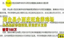河北邢台爆料案件最新情况,案情进展与调查进展全解析”