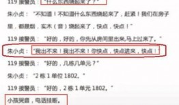 阜宁最新爆料案件,最新案件细节揭露惊人真相