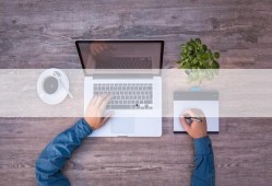 原神八重神子最新爆料,原神新角色魅力全解析