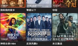 镖人最新情报爆料视频大全,视频大全深度解析