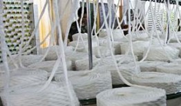 粘胶短纤最新爆料,最新爆料揭示行业新动向