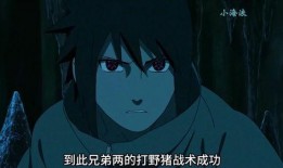 最新佐助爆料视频