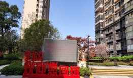 南京博物院爆料案件最新,揭秘背后惊心动魄的真相