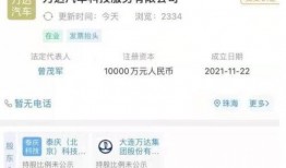 万达最新爆料消息视频播放,揭秘视频播放背后的秘密与未来趋势