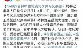 邯郸事件大爆料最新消息,揭秘背后惊人真相