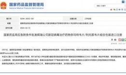 辉瑞最新爆料消息,揭秘疫苗研发背后的惊人真相