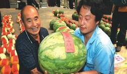 老王杯新瓜最新爆料,揭秘娱乐圈最新热点事件