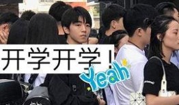 开学爆料的视频大全集最新,校园风云录