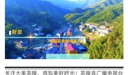 茶陵爆料最新新闻事件,突发！最新事件引发热议，真相即将揭晓