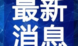 深圳新暴雨爆料视频最新,最新爆料视频揭示城市抗洪瞬间